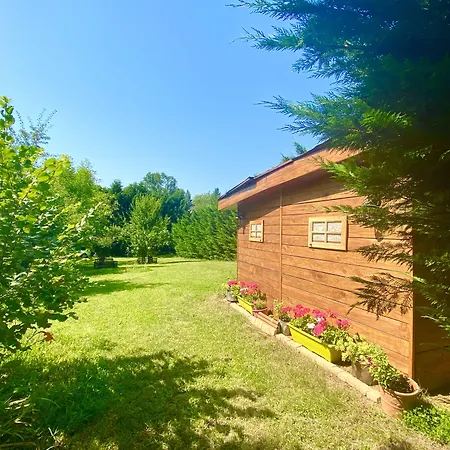 Maison d'hôtes Le Petit Au Cœur De - Parking Privé - Piscine Chauffée - Et Massages 4*