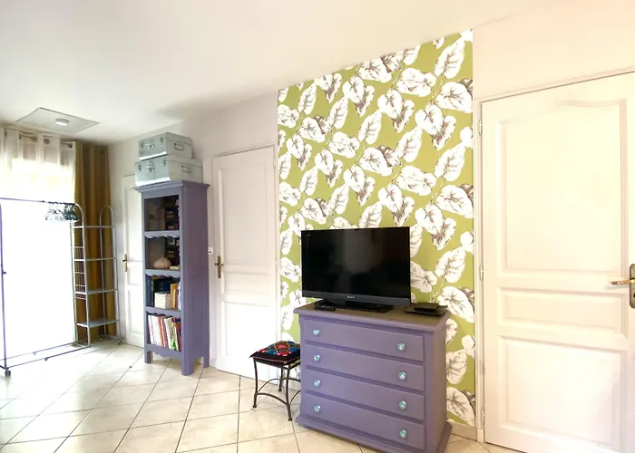 Guest house Le Petit Au Coeur De - Parking Prive - Piscine Chauffee - Et Massages 4*